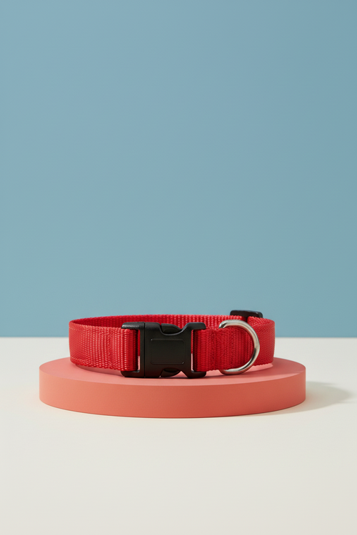 Collier chat anti étrangleur
